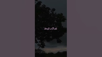 ﴿أَنِ ٱعۡبُدُوا۟ ٱللَّهَ وَٱتَّقُوهُ﴾  | القارئ محمد صديق المنشاوي #قرآن #اكسبلور #المصحف.