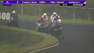 Vidéo de la course PMU LAGUNA DE LOS PATOS