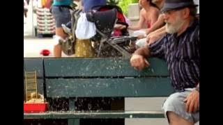 Just Kidding - Disney Channel Asia