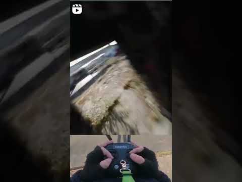 شوفو شصار آخر شي