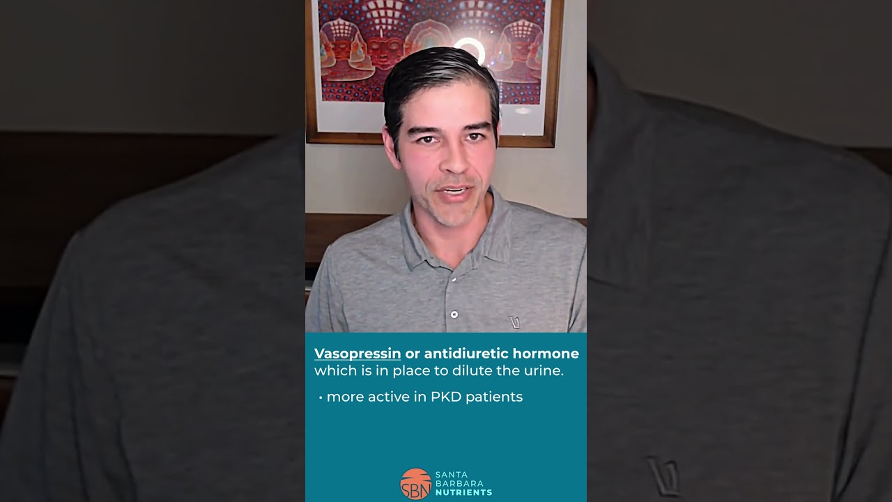 Water Intake, Vasopressin And PKD #pkd #polycystickidneydisease