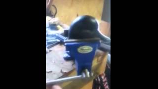 Homer decoys Break test