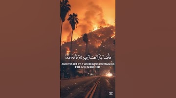 سورة البقرة فا اصبها إعصار في نار محمد اللحيدان