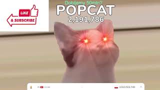 POP CAT CLICKER