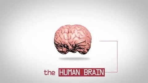 Benefitfocus Video: Using Video to Communicate