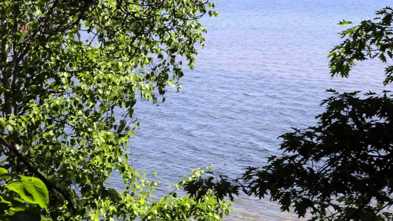 Northern Minnesota Landscapes