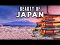 The Most Amazing Places in JAPAN 🇯🇵: Top Destinations You Must Visit (Japan Travel Guide)