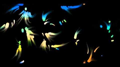 aMotion Toolkit Video Recording Preview