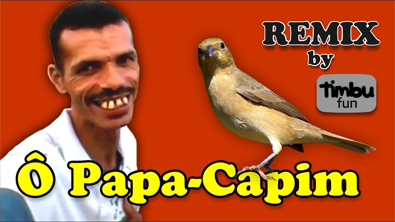 Papa Capim  .: Focado em Você :.