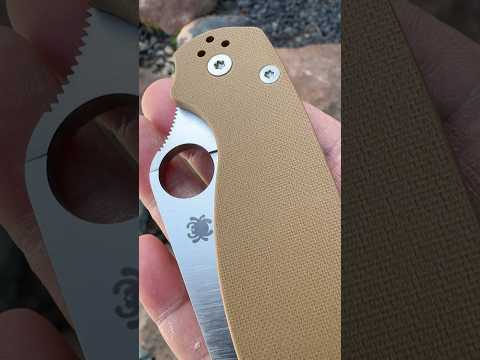 Sunday Spyderco: PM2 in 10V   
