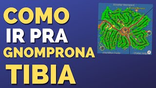 Como ir Pra Gnomprona Tibia