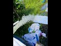 Leo Pump Startup 1HP 2 inches delivery #electrical #farming #water #pump #ytshorts #shorts #ytviral