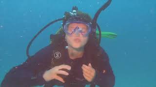 Scuba Diving the Great Barrier Reef on a Liveaboard | The Solo Scuba Diver 60+