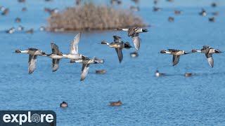 Friends of Sacramento National Wildlife Refuge powered by EXPLORE.org