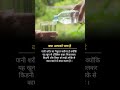 Mind blowing facts 😱 OMG #facts @FactTechz #viral #shorts #tranding #ytshort #health #video #yt