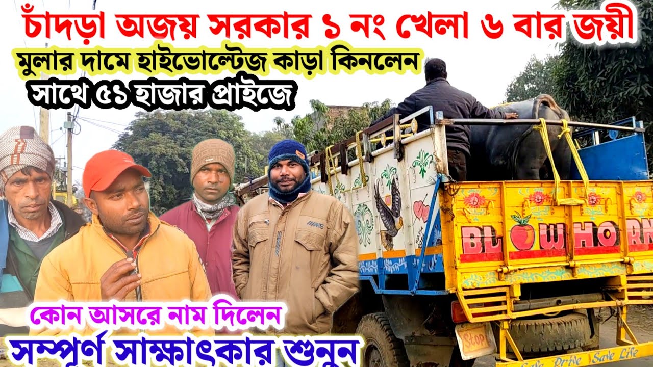 চাঁদড়া অজয় সরকার ৬ বার জয়ী কাড়া মুলার দামে হাইভোল্টেজ কাড়া কিনলেন🔥সম্পূর্ণ সাক্ষাৎকার শুনুন💢