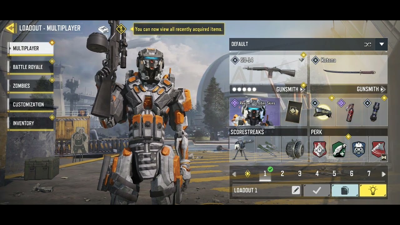 Heres a w so-14 loadout in Codm