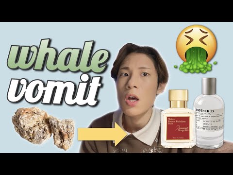 Whale Vomit Won't Be in Your Perfume Anymore – StyleCaster