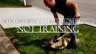 Why PETCO Classes FAILED & How I Build Respect With A REBELLIOUS Dog | Ranger The German Shepherd