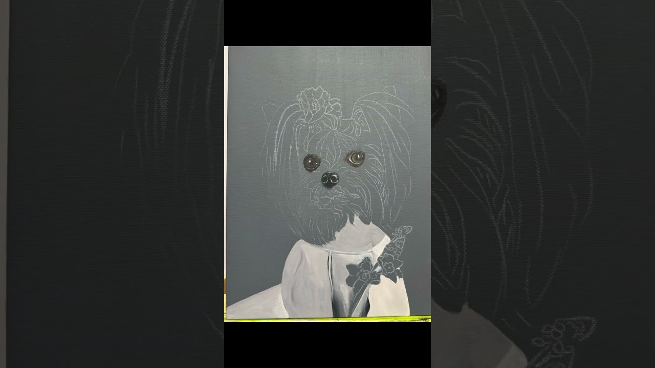 Pet portraits. Йорк терьер. 