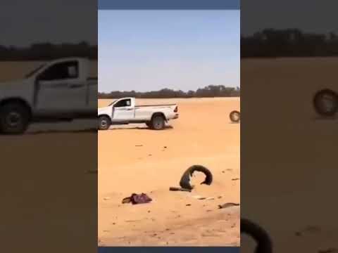 تهريب ملوك التهريب الشاص 