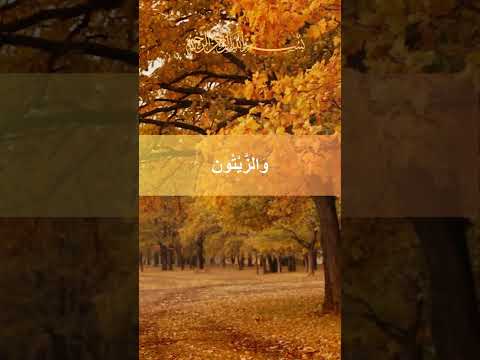 و م ن الن خ ل م ن ط ل ع ه ا ق ن و ان د ان ي ة