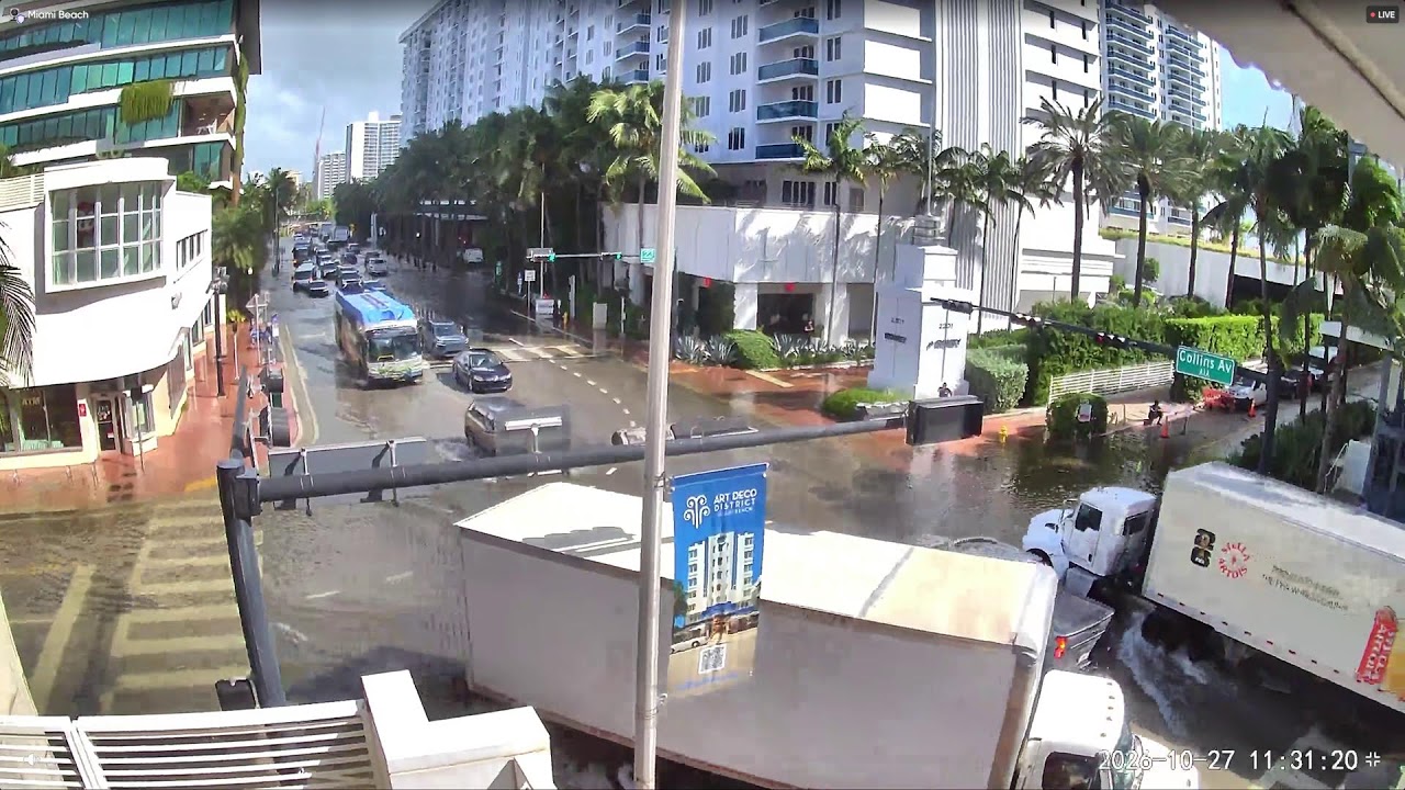 LIVE 4K South Beach Miami – Collins Avenue Street Camera live camera thumbnail