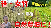 笹を枯らす方法 除草剤を使わず駆除する枯らし方 Youtube