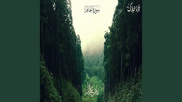 سورة الحاقة