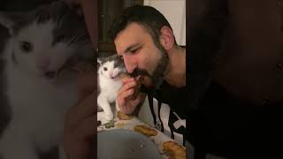 Heartwarming Moment As Cat and Man Share a Quick Snack