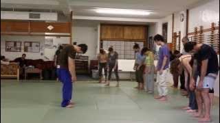 Zen Acrobatics - Boston 2015