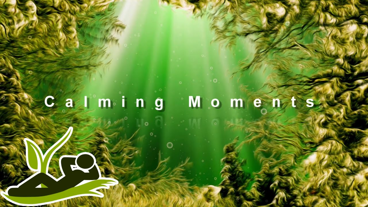 Beautiful Relaxing Music - 