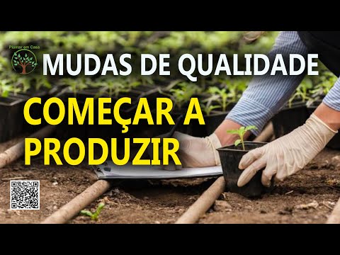 Vídeo: Armazenamento De Mudas - Cuidando Da Colheita Futura