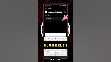 DeFi Risks, Key Insights Blum Video Code