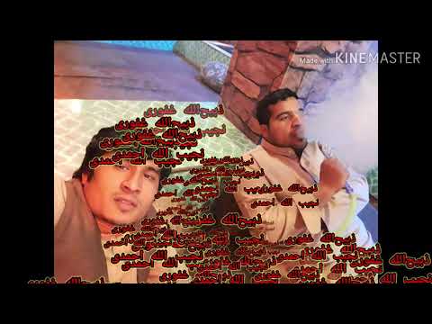 شرافت پروانی آهنگ پیشم بیا 2020