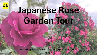 Wonderful Rose Garden Tour in Japan 2024. Beautiful roses. 春のバラ園 #rose #roses #englishgarden