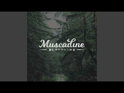 Depending On The Night - Muscadine Bloodline