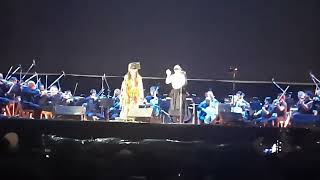 Watch Bjork Freefall video