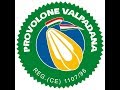 Video ITALIANO produzione Provolone Valpadana DOP