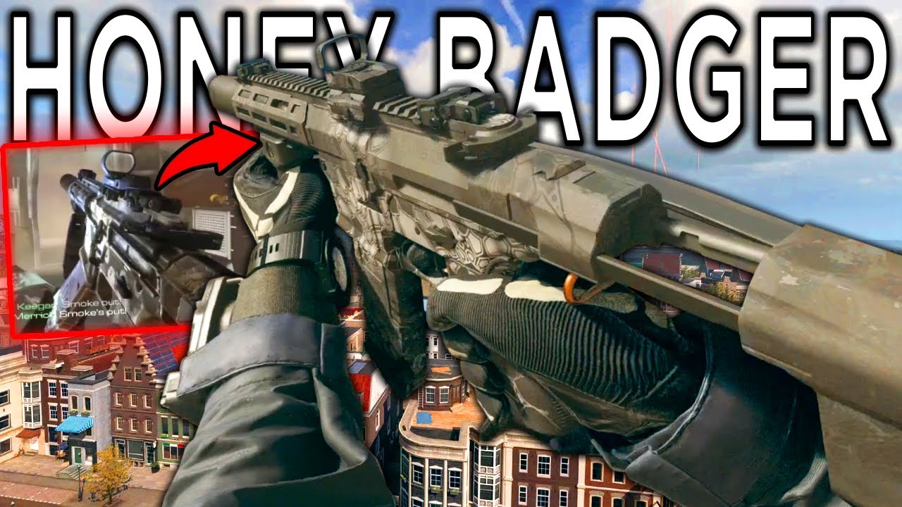 CoD Ghosts Honey Badger & RM277-AR (Cronen Squall) in Call of Duty Warzone Solos Win Gameplay