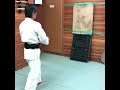 手裏剣術(shuriken jutsu)