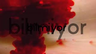 İrem Derici   Neredesin Sen         CLİPMAXTV
