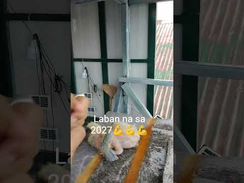Lipas na ba?..2027 here we go!!!💪💪
