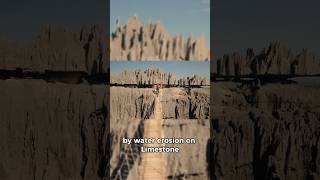 Tsingy de Madagascar, the Stone Forest