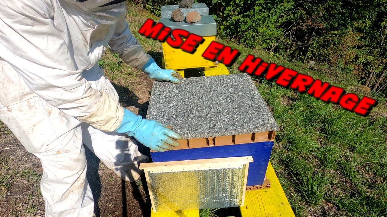 Mise en hivernage
