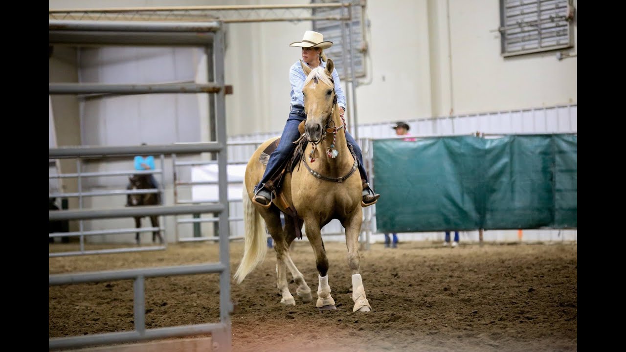 Prospector Challenge Slot Race, 2020