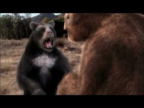 Short-Faced Bear vs Giant Ground Sloth (Megatherium) | Prehistoric