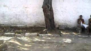 felipe 452.avi