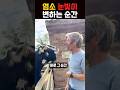 염소랑 기싸움하다가 생긴 일 #염소 #동물반응 #웃긴영상 #쇼츠 #shorts #funny #animal #goat #동물쇼츠 #웃긴동물영상