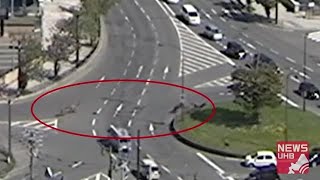居場所はここシカない？カメラがとらえたロータリーで